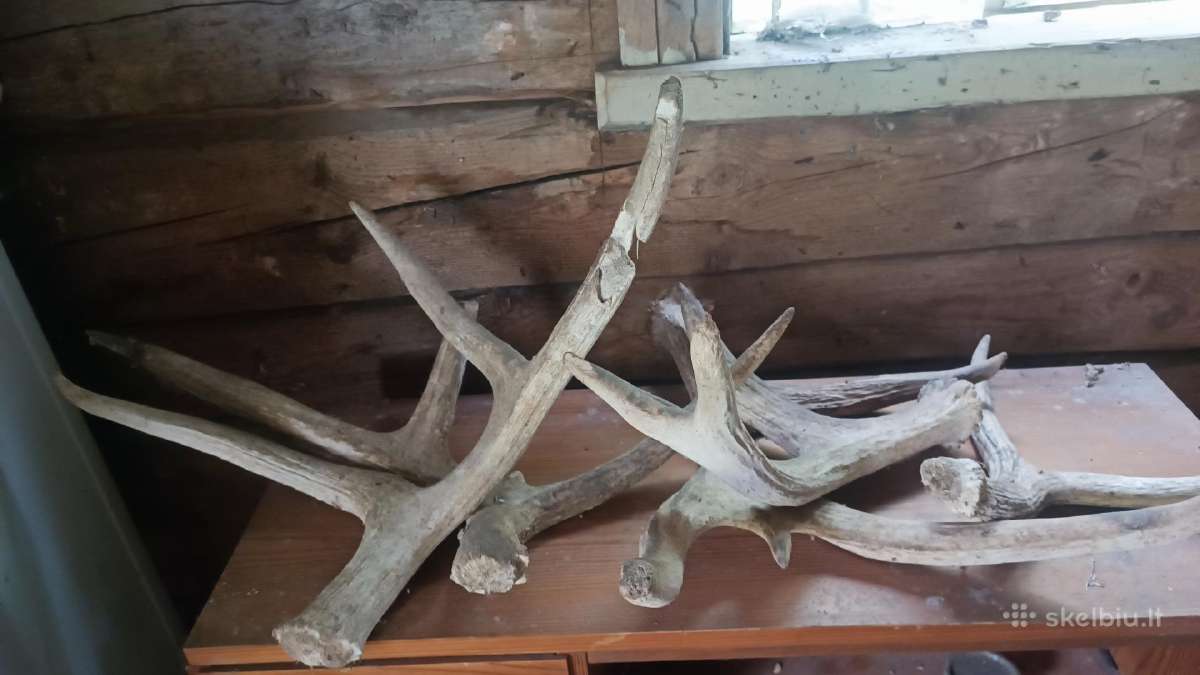 Daug antikvarinių rakandų - nuotraukos Nr. 19