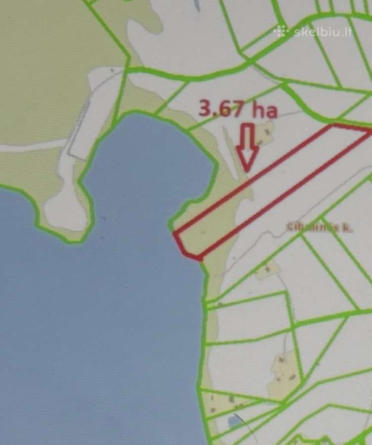 Pakrante su nuostabiu vaizdu - nuotraukos Nr. 7