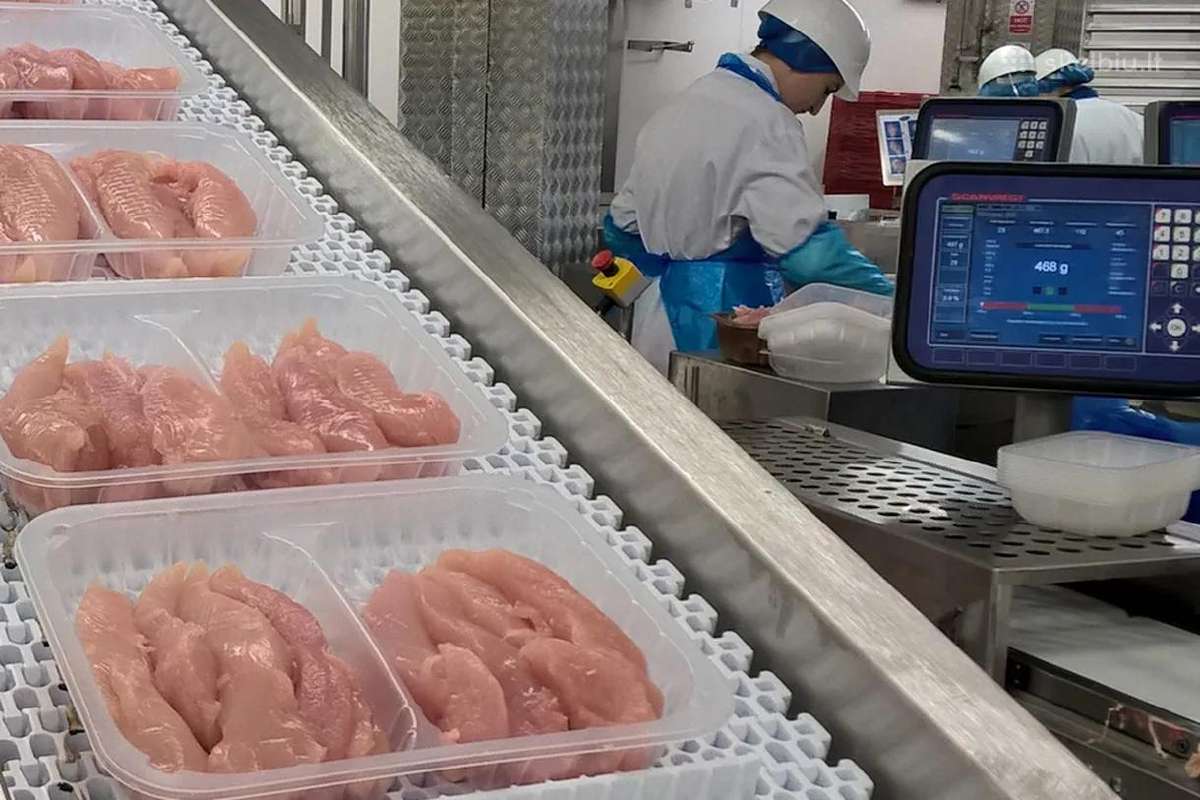 Darbas Norvegijoje. Maisto pramonėje
