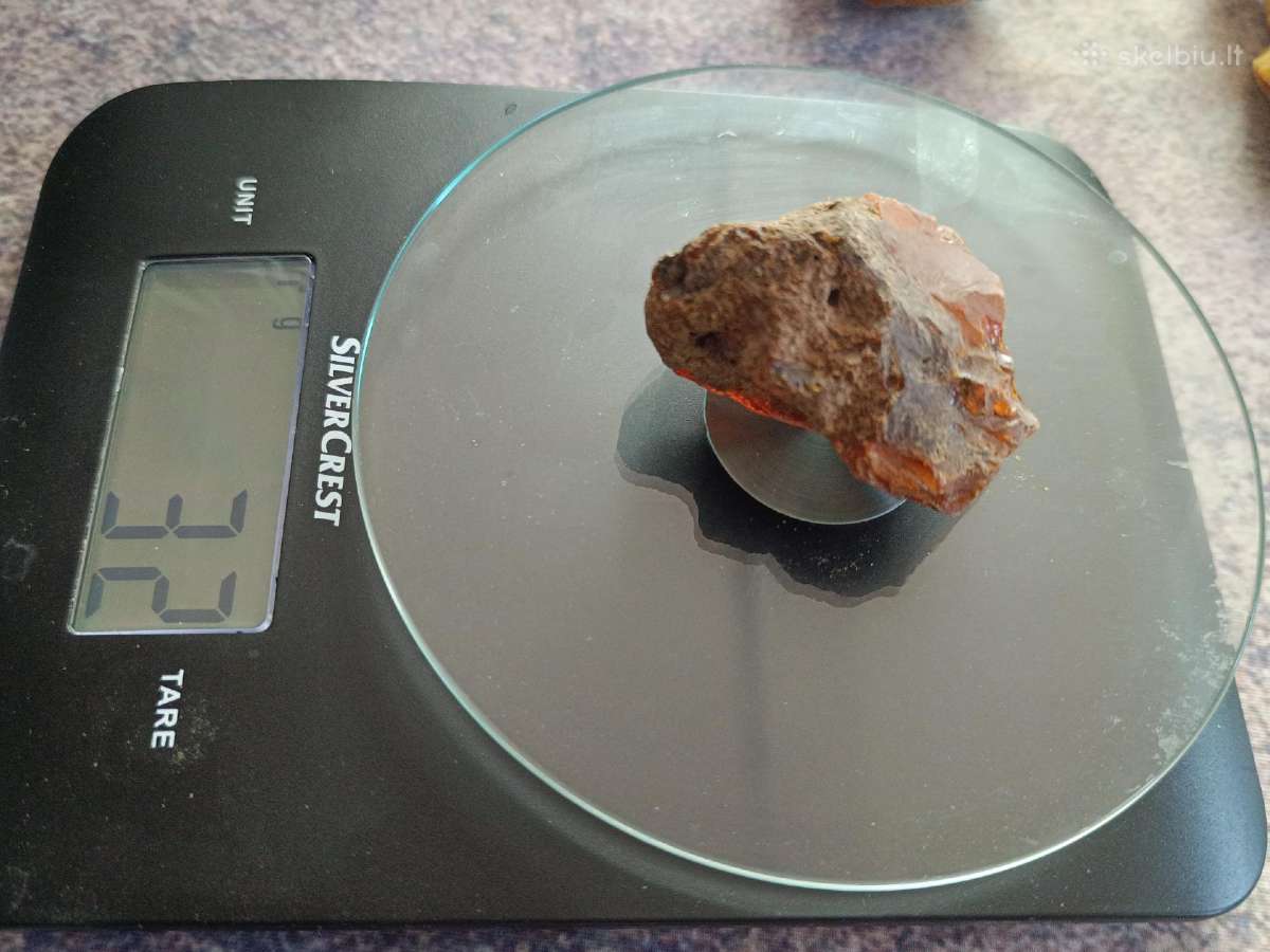 5 kg gintaro - nuotraukos Nr. 7