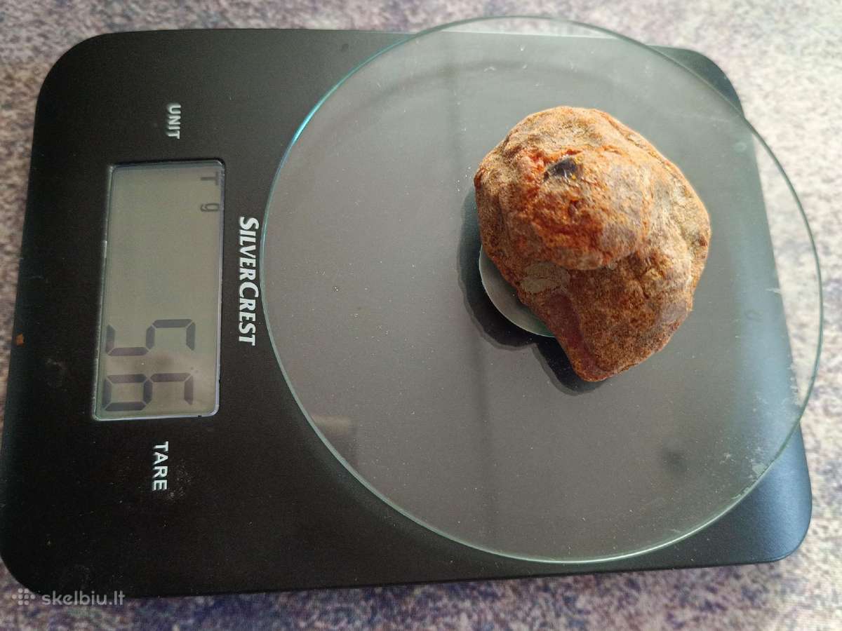5 kg gintaro - nuotraukos Nr. 8