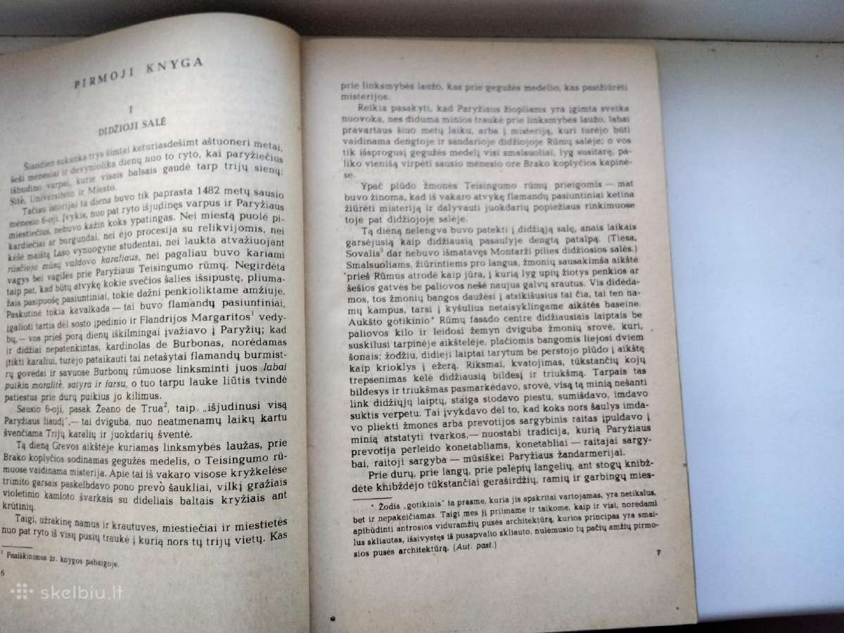 V. Hugo. Paryžiaus katedra - nuotraukos Nr. 4