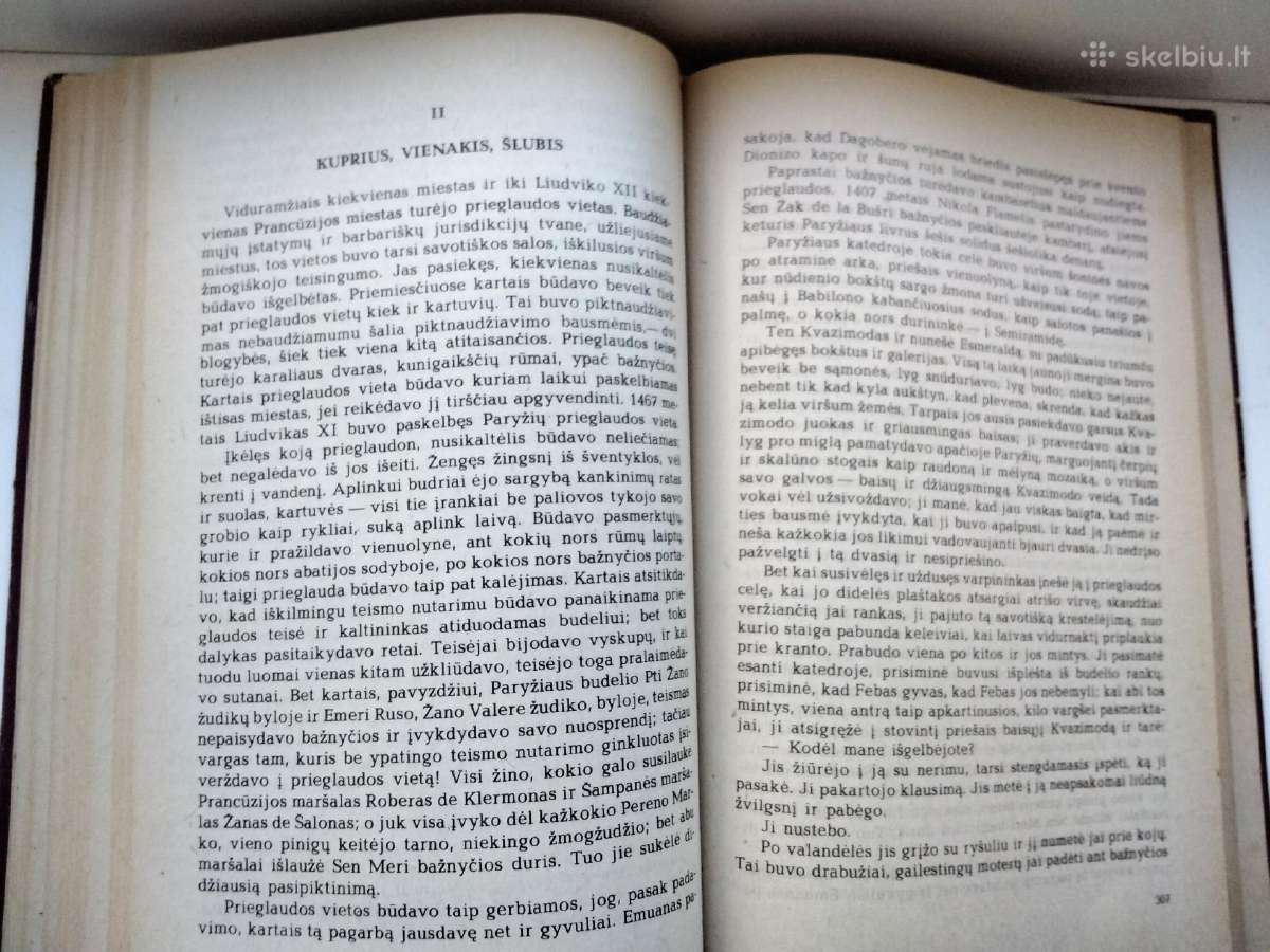 V. Hugo. Paryžiaus katedra - nuotraukos Nr. 7