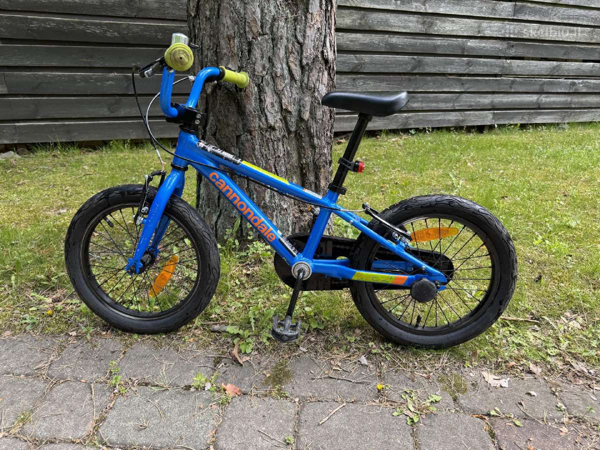 Giant, Cannondale vaikiški dviračiai