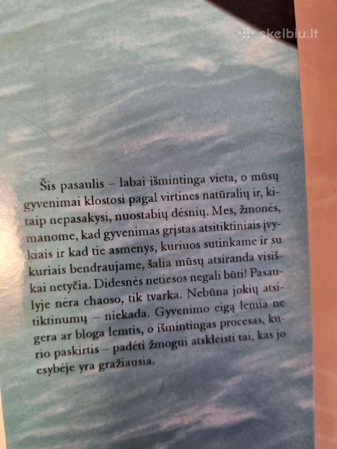 Šventasis , Banglentininkas ir Vadovas - nuotraukos Nr. 5