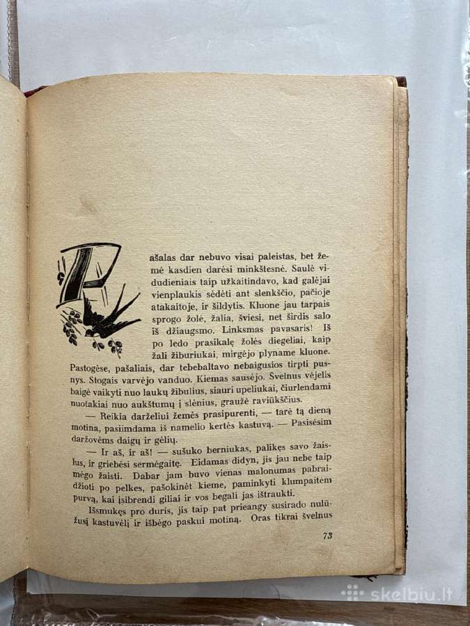 Per šaltį ir vėją 1940 m. Reta knyga - nuotraukos Nr. 6