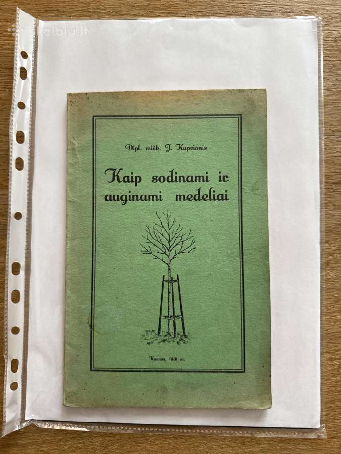 Kaip sodinami ir auginami medeliai 1931 m.