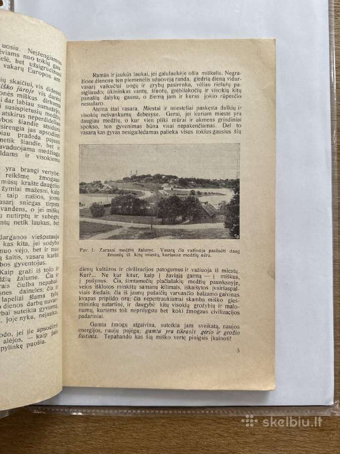 Kaip sodinami ir auginami medeliai 1931 m. - nuotraukos Nr. 3