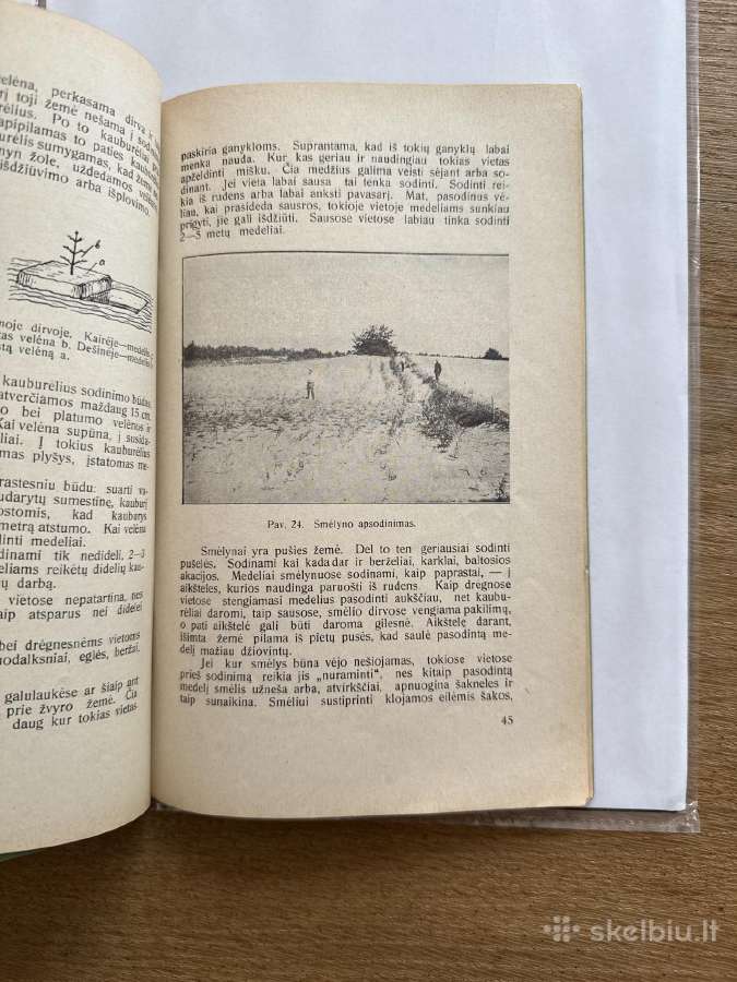Kaip sodinami ir auginami medeliai 1931 m. - nuotraukos Nr. 6