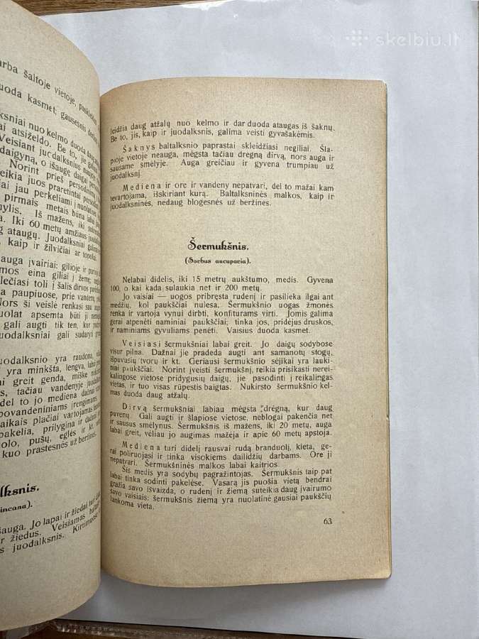 Kaip sodinami ir auginami medeliai 1931 m. - nuotraukos Nr. 7