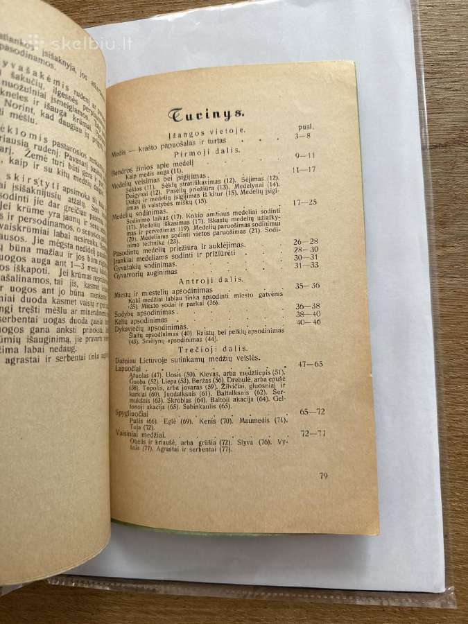 Kaip sodinami ir auginami medeliai 1931 m. - nuotraukos Nr. 8