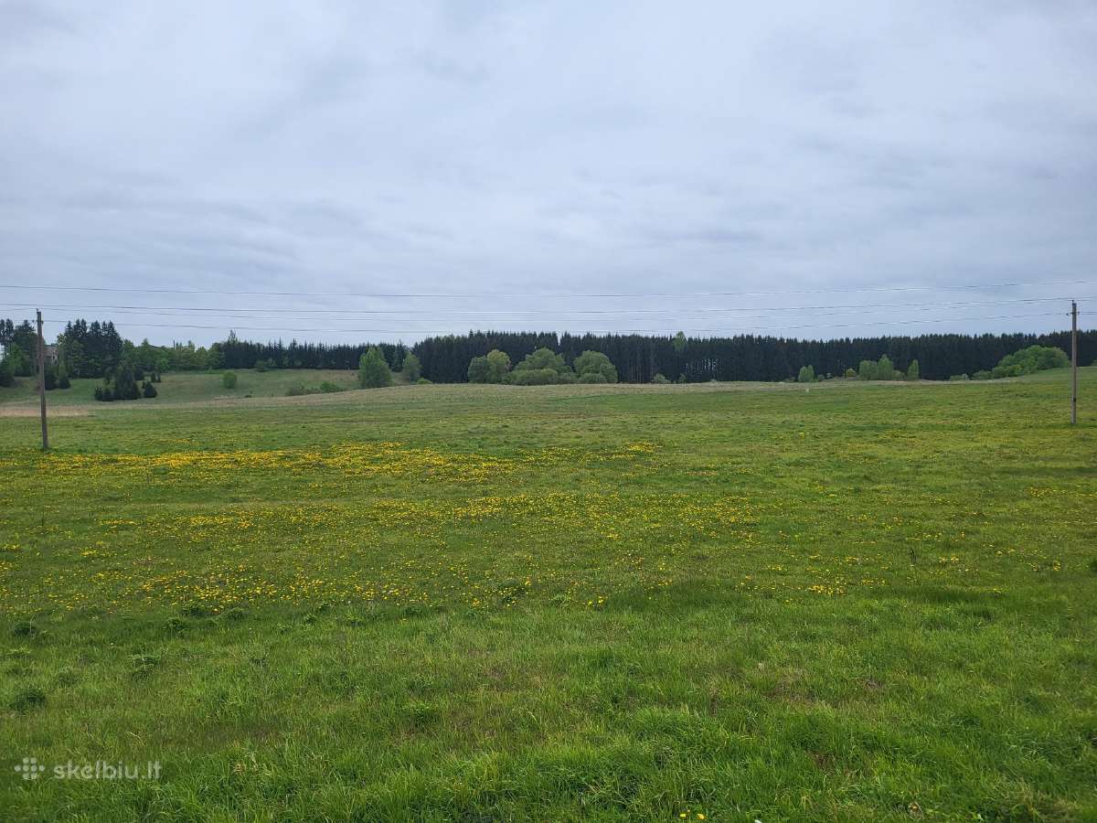 Parduodami trys 2,37 ha sklypai, 6km nuo Utenos - nuotraukos Nr. 5