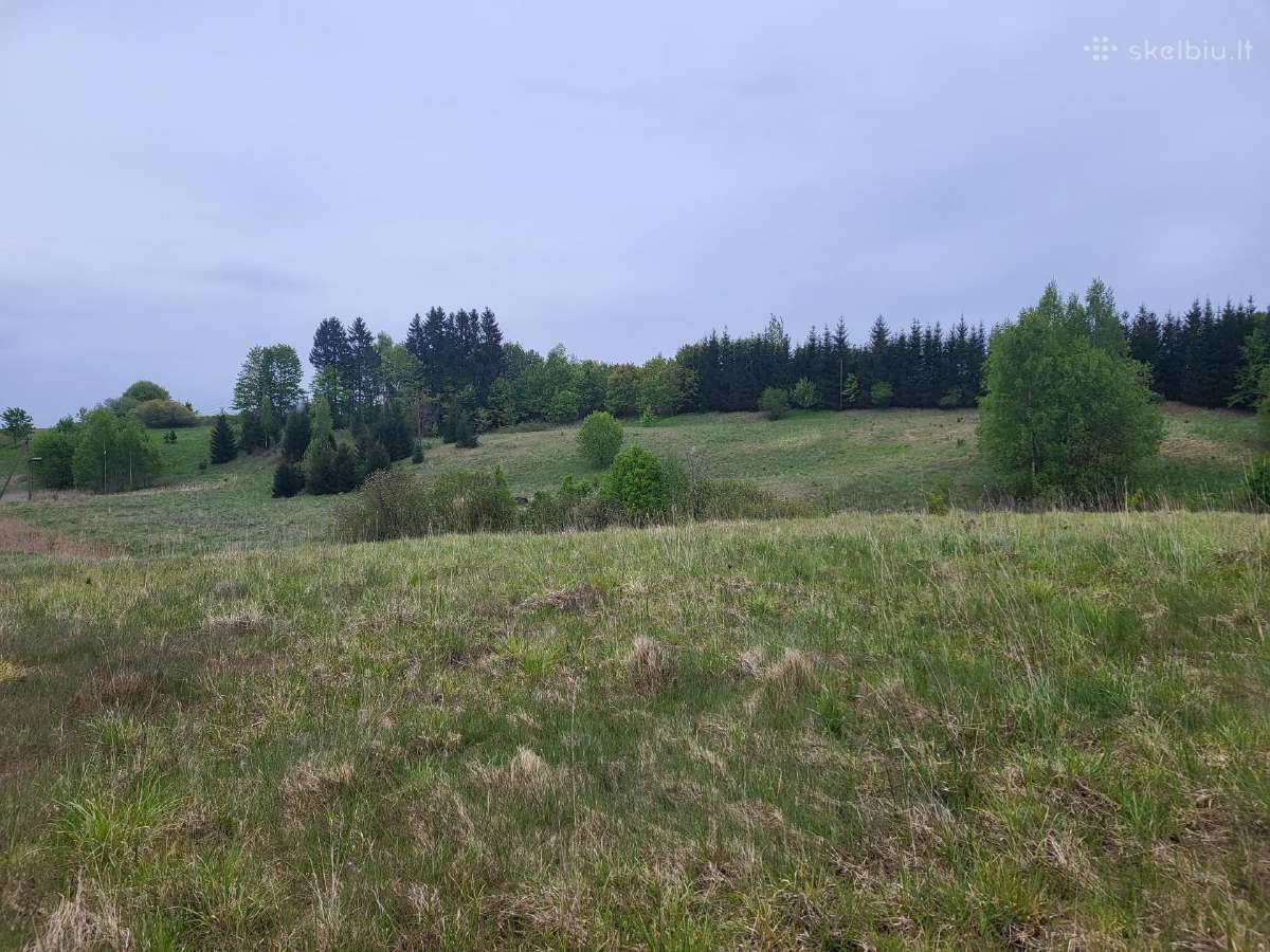 Parduodami trys 2,37 ha sklypai, 6km nuo Utenos - nuotraukos Nr. 2