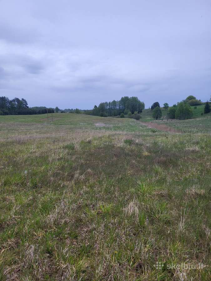 Parduodami trys 2,37 ha sklypai, 6km nuo Utenos - nuotraukos Nr. 3