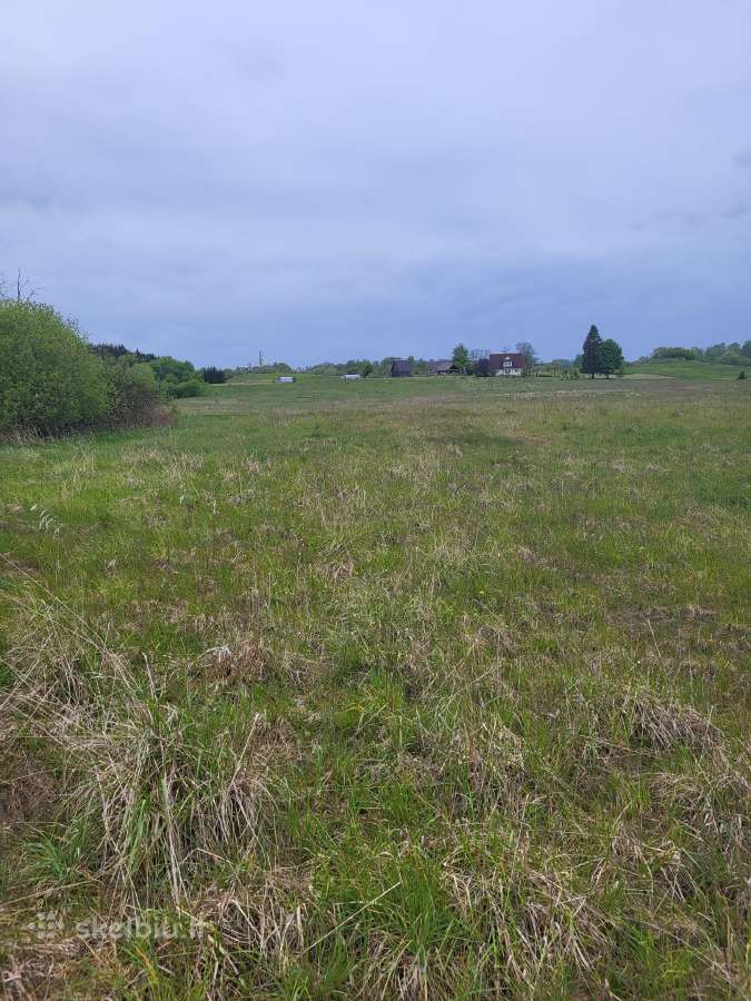 Parduodami trys 2,37 ha sklypai, 6km nuo Utenos - nuotraukos Nr. 6
