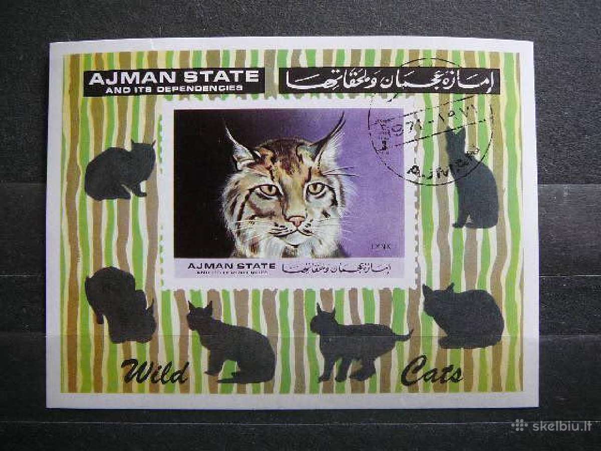 Lusis Kates laukines Ajmanas 1971 antsp. ajm378