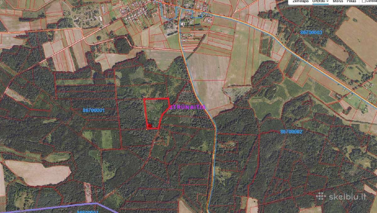 Pigiai 5,79 miškas su 2 ha jaunuolynu. tik 7200 E