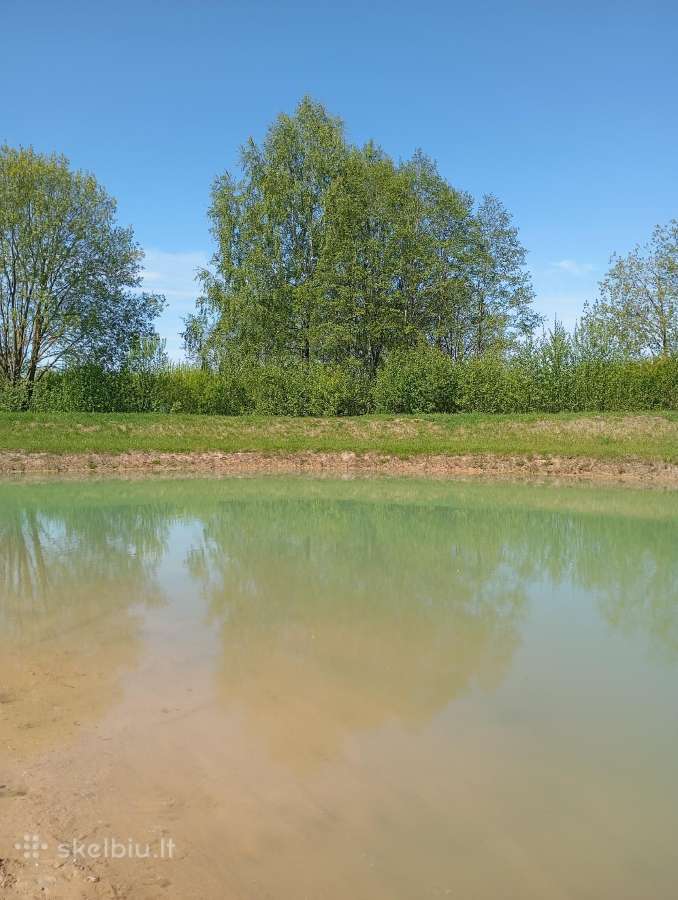 1,33ha sklypas prie Šiaulių jūros - nuotraukos Nr. 2