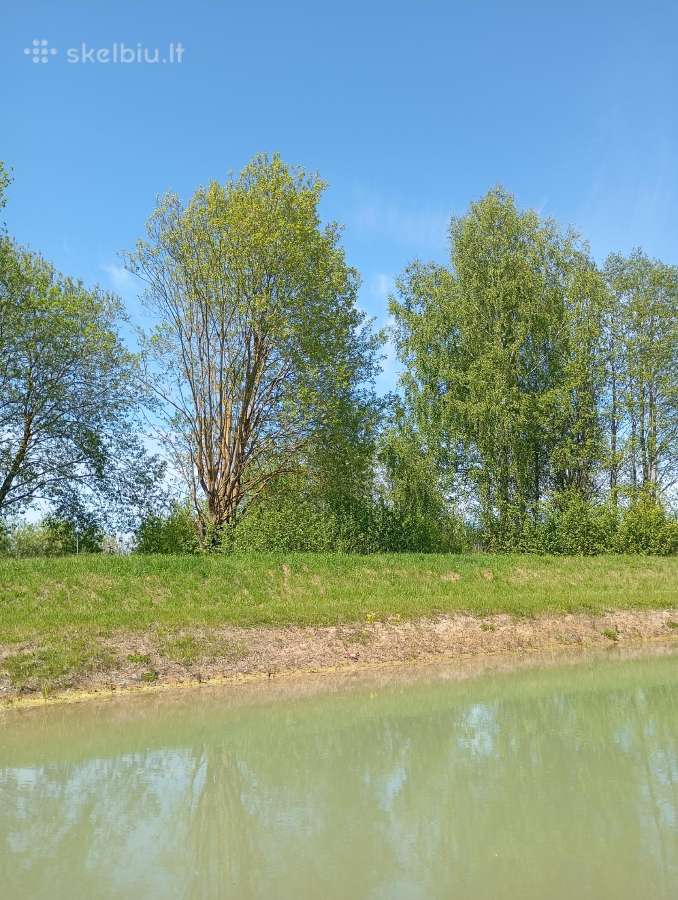 1,33ha sklypas prie Šiaulių jūros - nuotraukos Nr. 4
