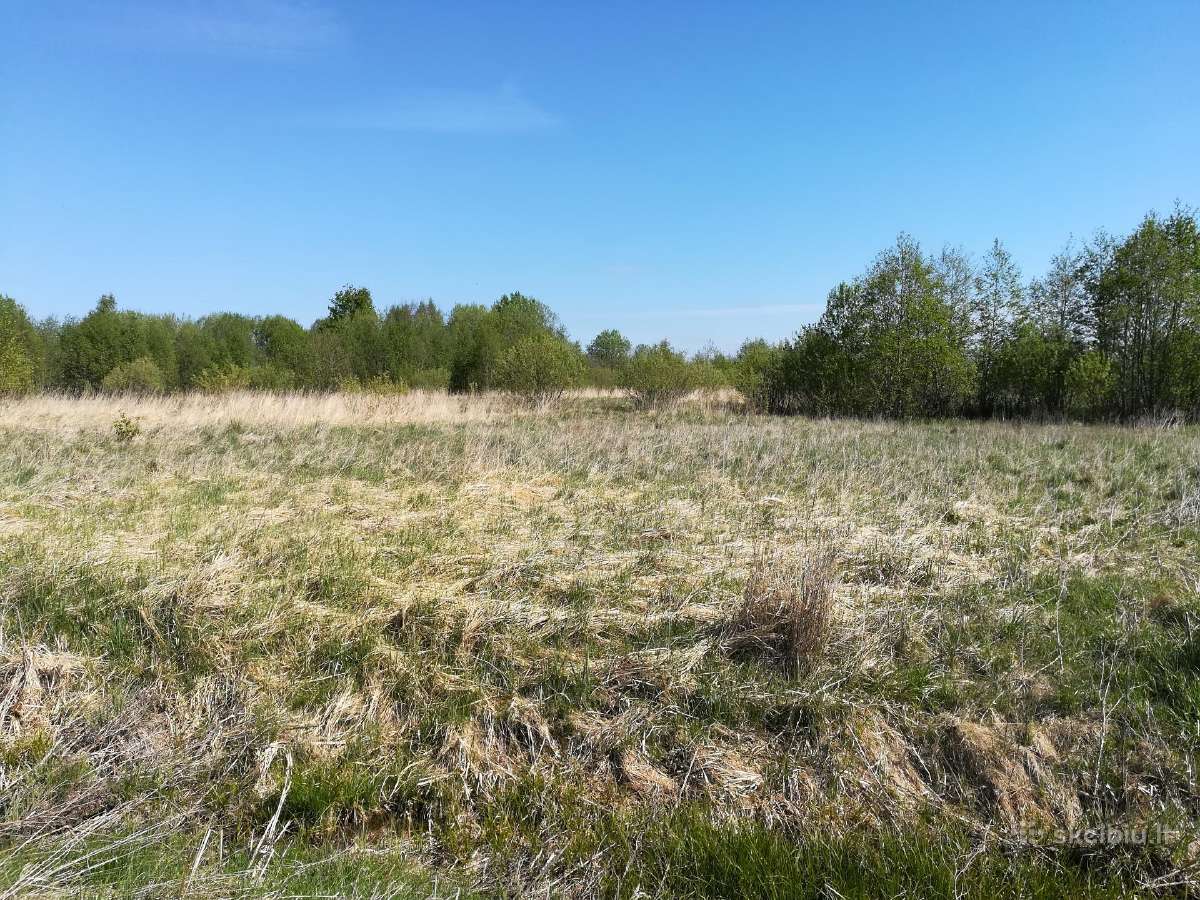 1,33ha sklypas prie Šiaulių jūros - nuotraukos Nr. 6