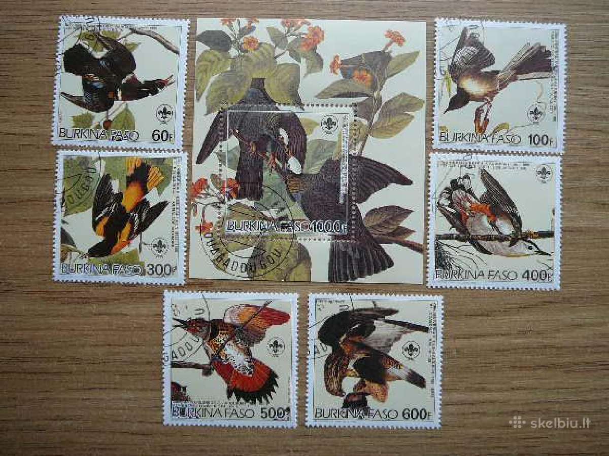 Pauksciai Skautai Burkina Faso 1985 antsp. bfs1029