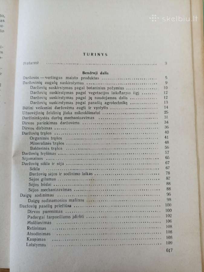 Daržininkystė 1961 - nuotraukos Nr. 2