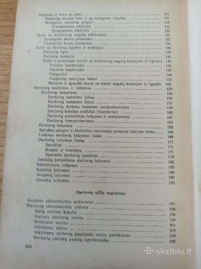 Daržininkystė 1961 - nuotraukos Nr. 3