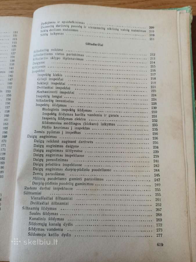Daržininkystė 1961 - nuotraukos Nr. 4