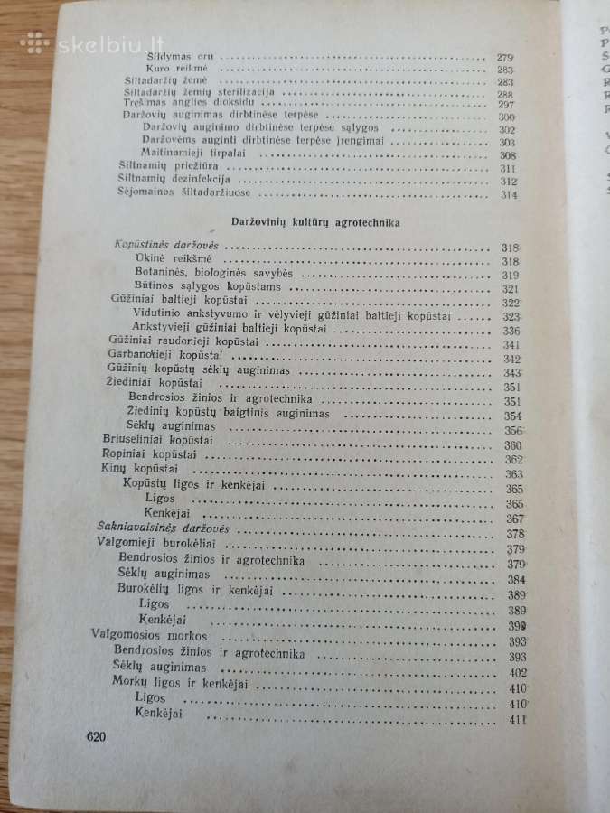 Daržininkystė 1961 - nuotraukos Nr. 5