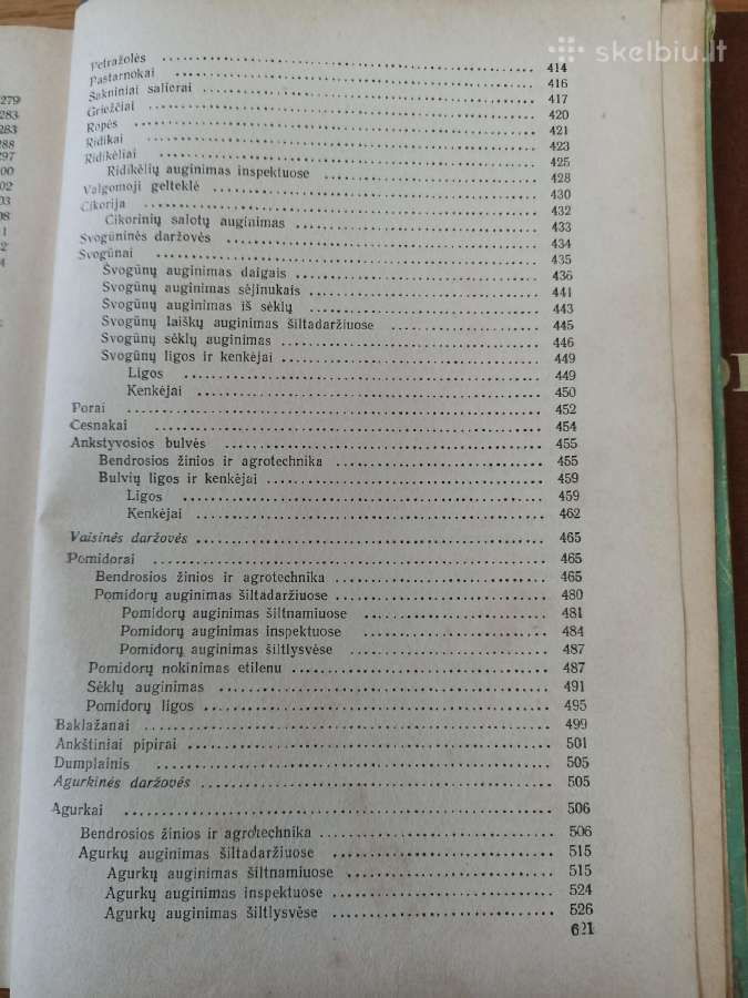Daržininkystė 1961 - nuotraukos Nr. 6