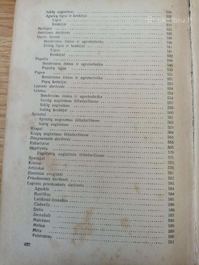Daržininkystė 1961 - nuotraukos Nr. 7