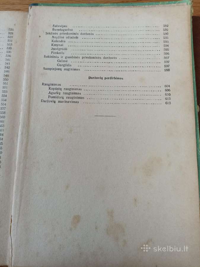 Daržininkystė 1961 - nuotraukos Nr. 8