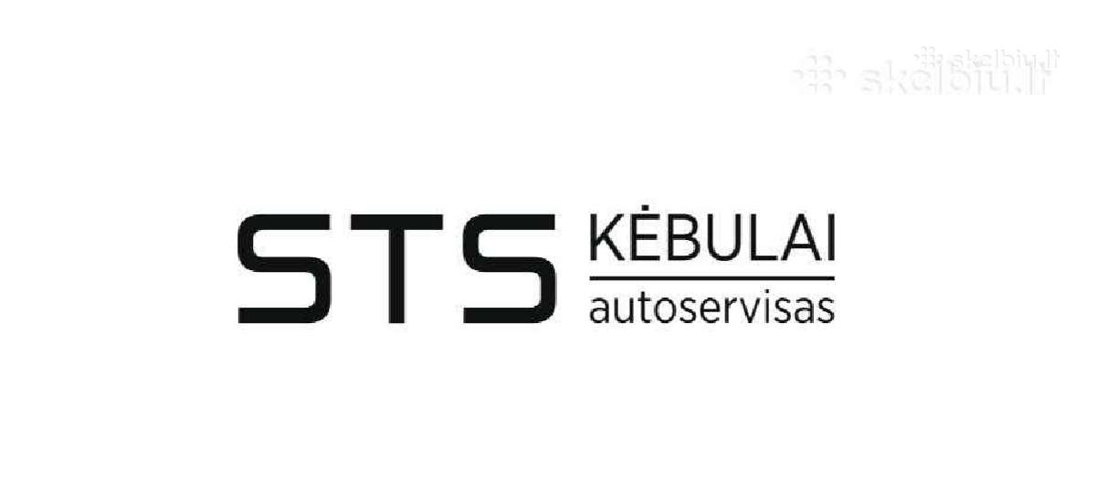 Automobilių dažytojai