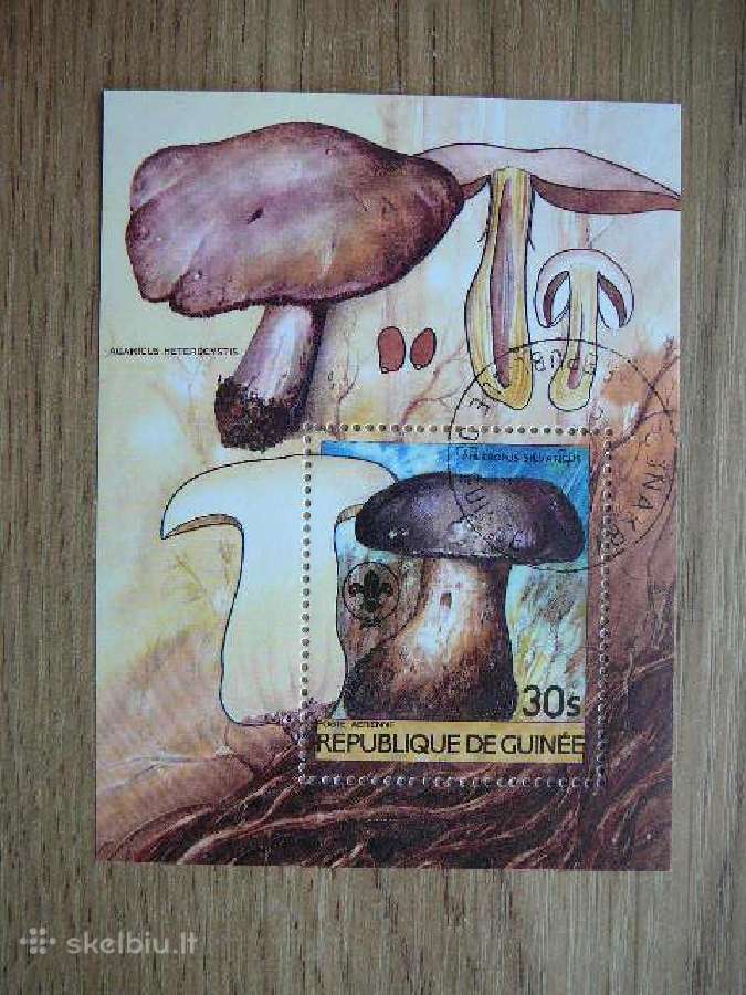 Grybai Gvineja 1985 antsp. gn70
