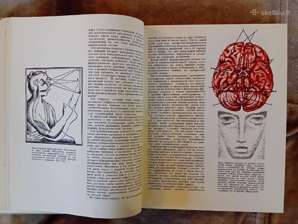 Mokslo almanachas "Nauka i čelovečestvo. 1965" - nuotraukos Nr. 5
