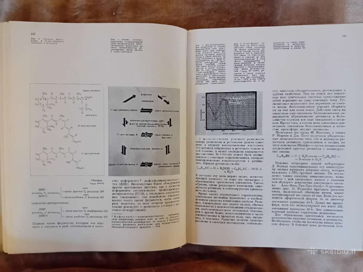 Mokslo almanachas "Nauka i čelovečestvo. 1970" - nuotraukos Nr. 10