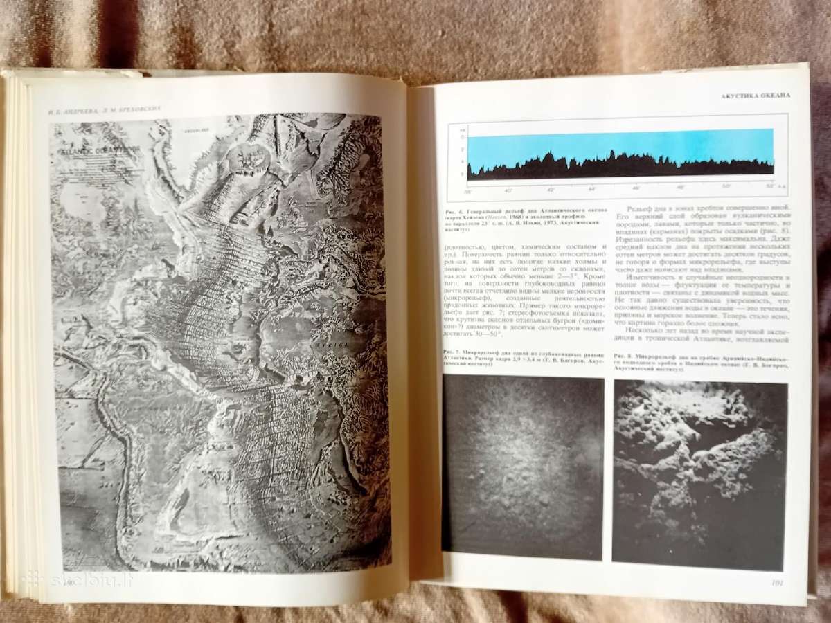 Mokslo almanachas "Nauka i čelovečestvo. 1981" - nuotraukos Nr. 6