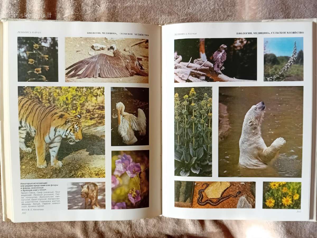 Mokslo almanachas "Nauka i čelovečestvo. 1981" - nuotraukos Nr. 8