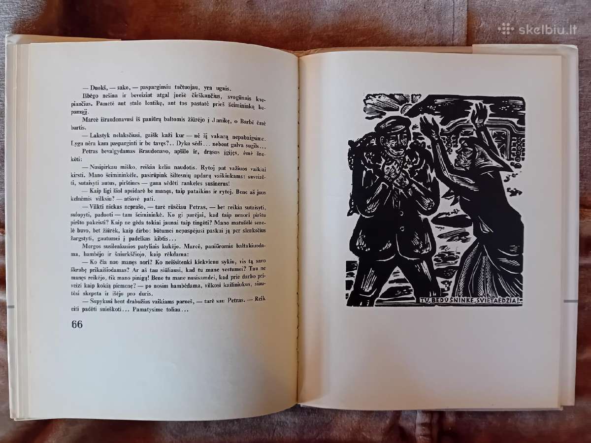 Žemaitė "Petras Kurmelis" 1976 - nuotraukos Nr. 6