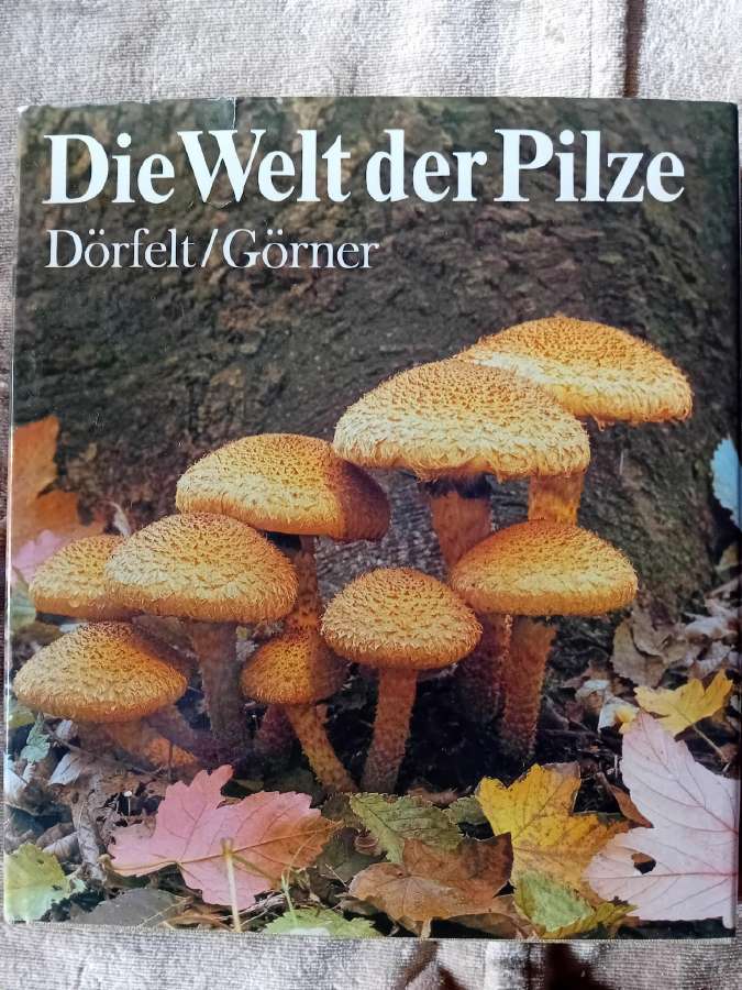Albumas apie grybus "Die Welt der Pilze"