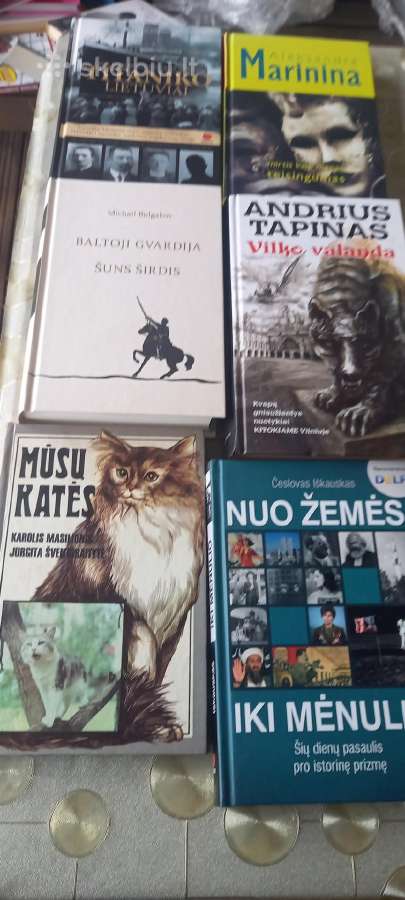 Parduodu gerai išlaikytas knygas - nuotraukos Nr. 8