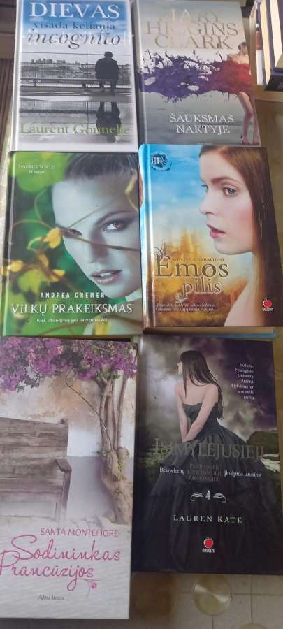 Parduodu gerai išlaikytas knygas - nuotraukos Nr. 10