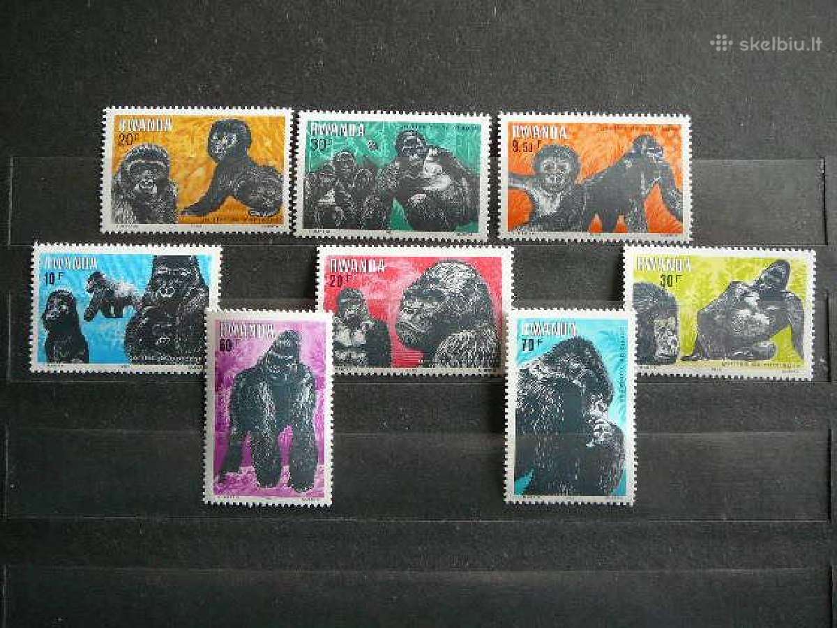 Bezdziones Ruanda 1983 svarus
