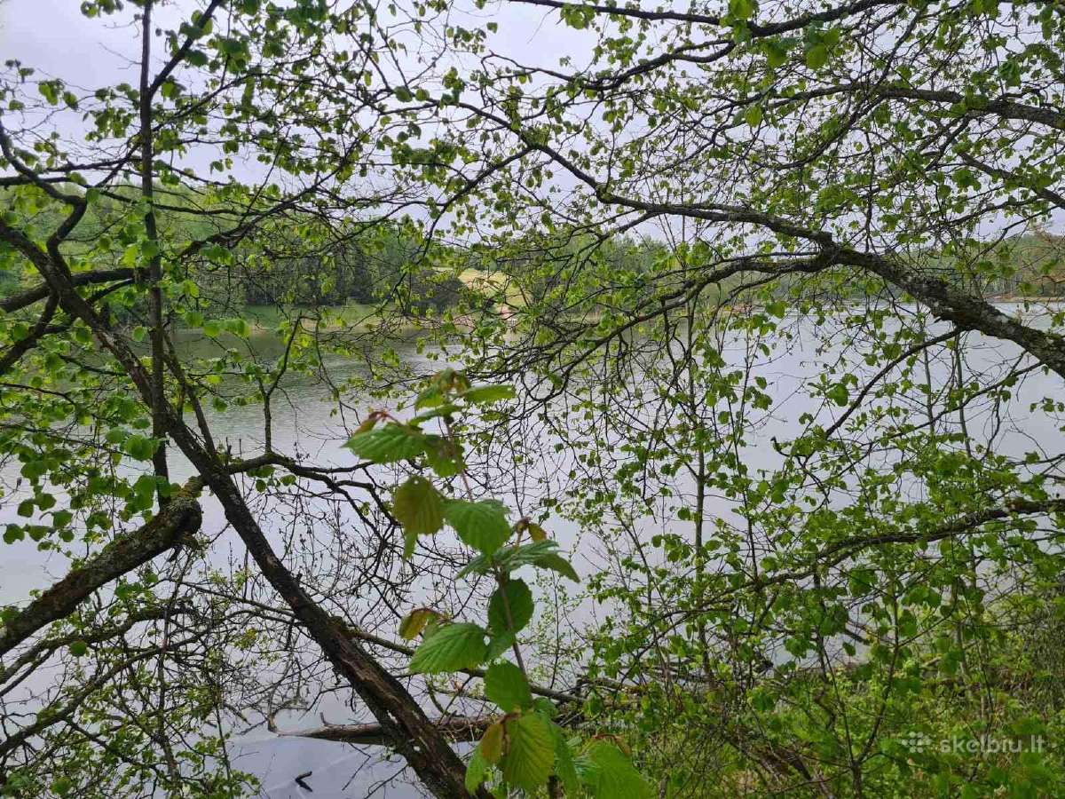 Sklypas su pamatais Aliuose, Utenos r. sav. - nuotraukos Nr. 2