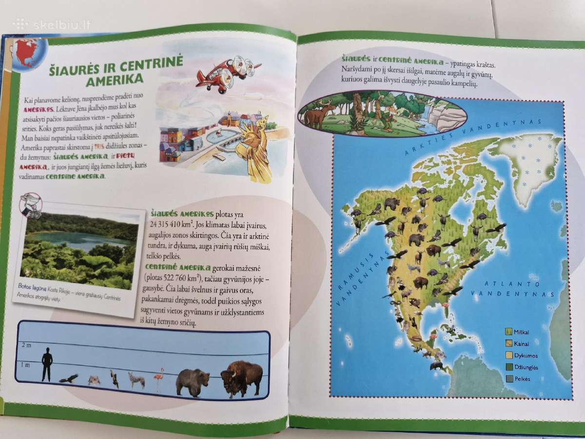 Knyga vaikams Mano pirmasis gyvūnų atlasas - nuotraukos Nr. 4