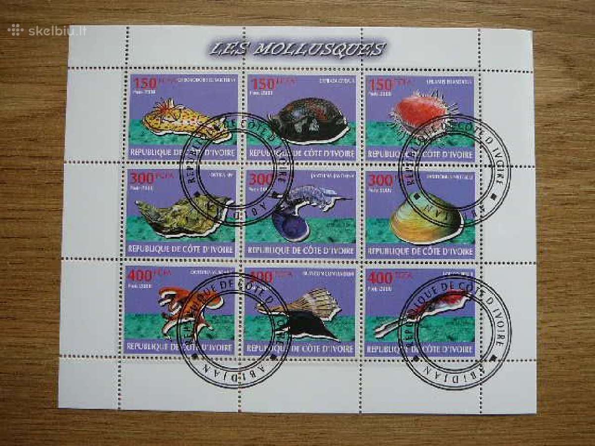 Moliuskai Kriaukles Ivory Coast 2009 antsp. s461