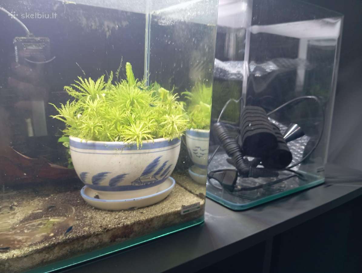 Dennerle nano cube 20l - nuotraukos Nr. 2