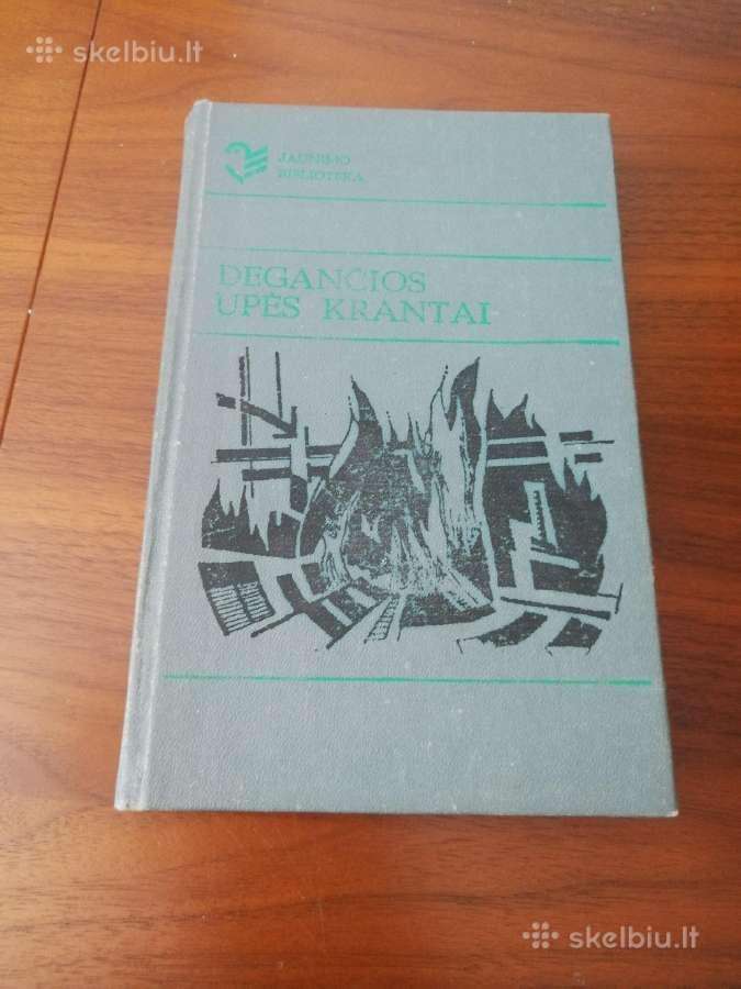 Daug knygų puikiame stovyje - nuotraukos Nr. 8