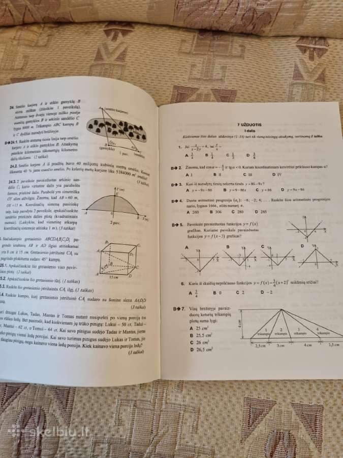 Matematikos brandos egzamino užduočių pavyzdžiai - nuotraukos Nr. 4