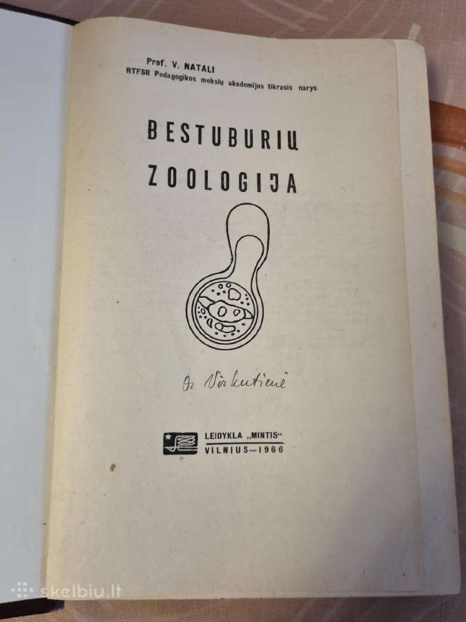 Bestuburių zoologija - nuotraukos Nr. 2
